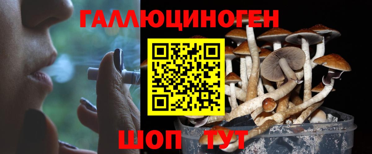 Псилоцибиновые грибы Psilocybine cubensis  Вход с VPN  Нальчик 
